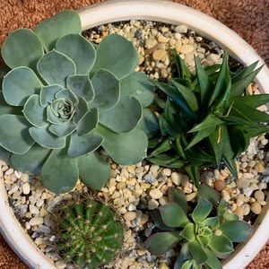 Meet your Posher, Josh